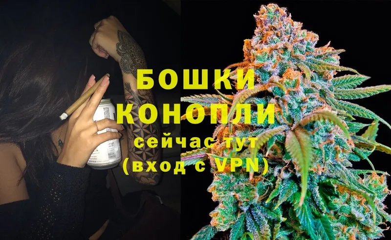 Бошки Шишки план  Мурино 